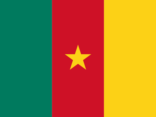Камерун: Лига 1